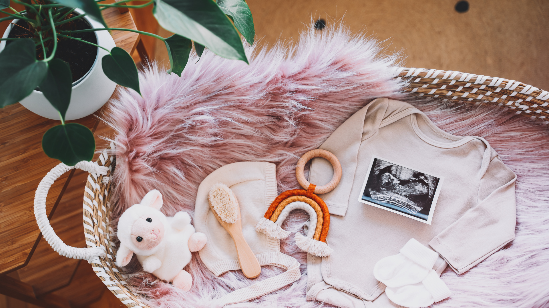 Social & Corporate Packages at Mandai Rainforest Resort by Banyan Tree